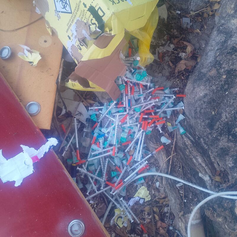 Imagem da publicação