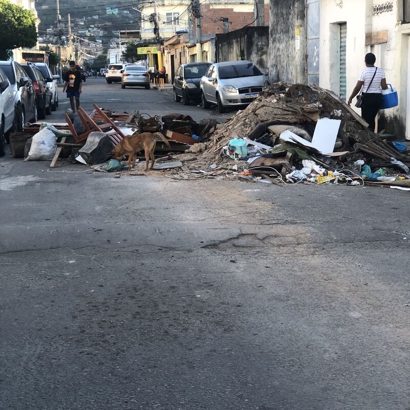 Imagem da publicação