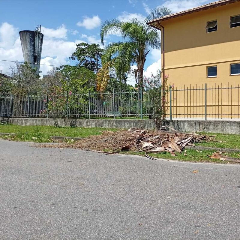 Imagem da publicação