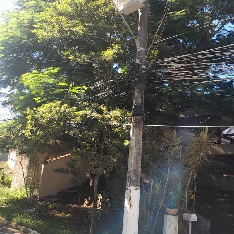 Imagem da publicação