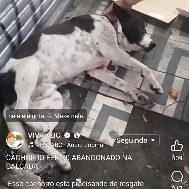 Imagem da publicação