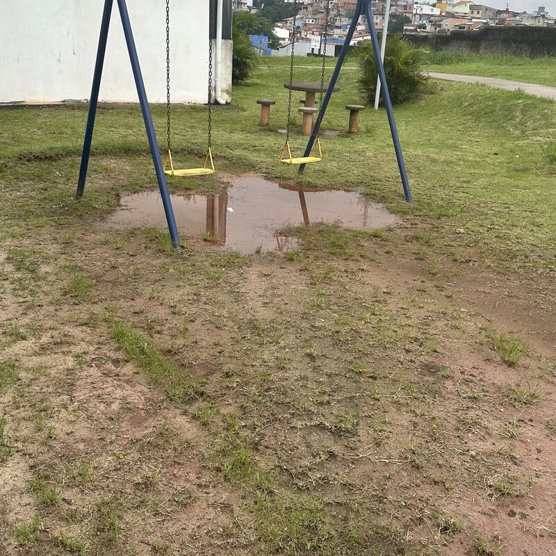 Imagem da publicação