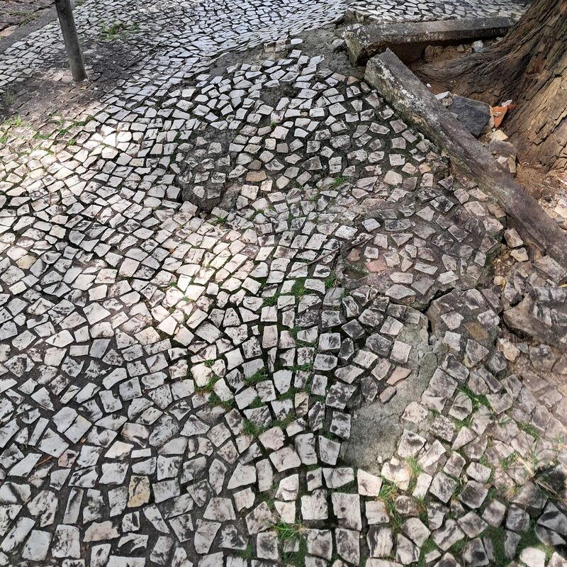 Imagem da publicação