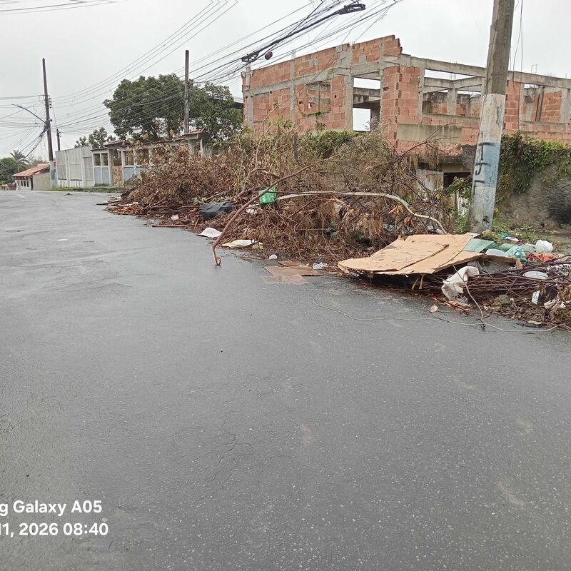 Imagem da publicação