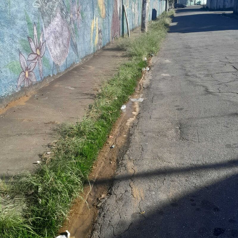 Imagem da publicação
