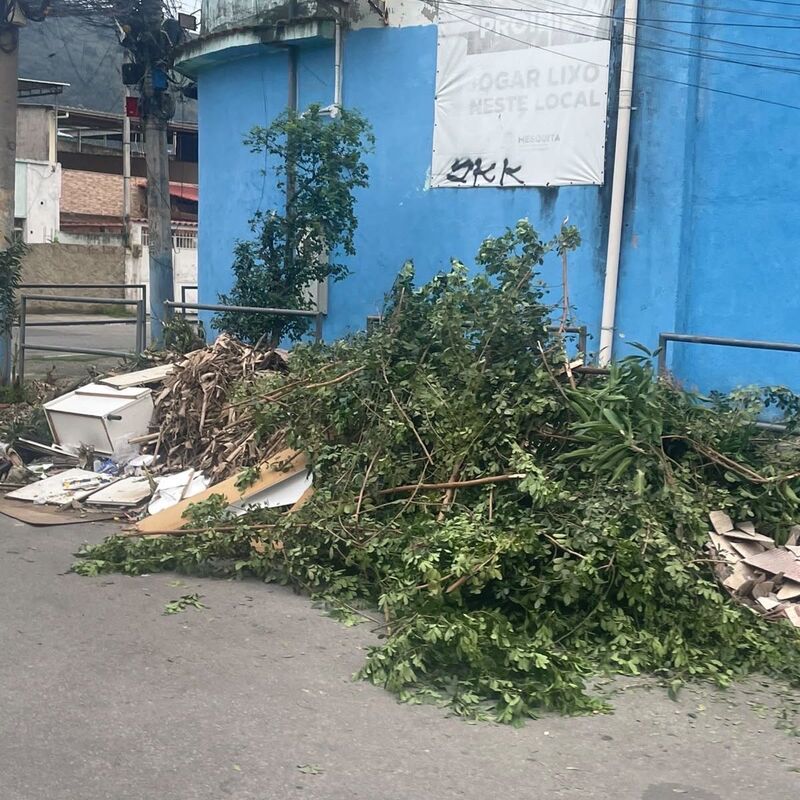 Imagem da publicação