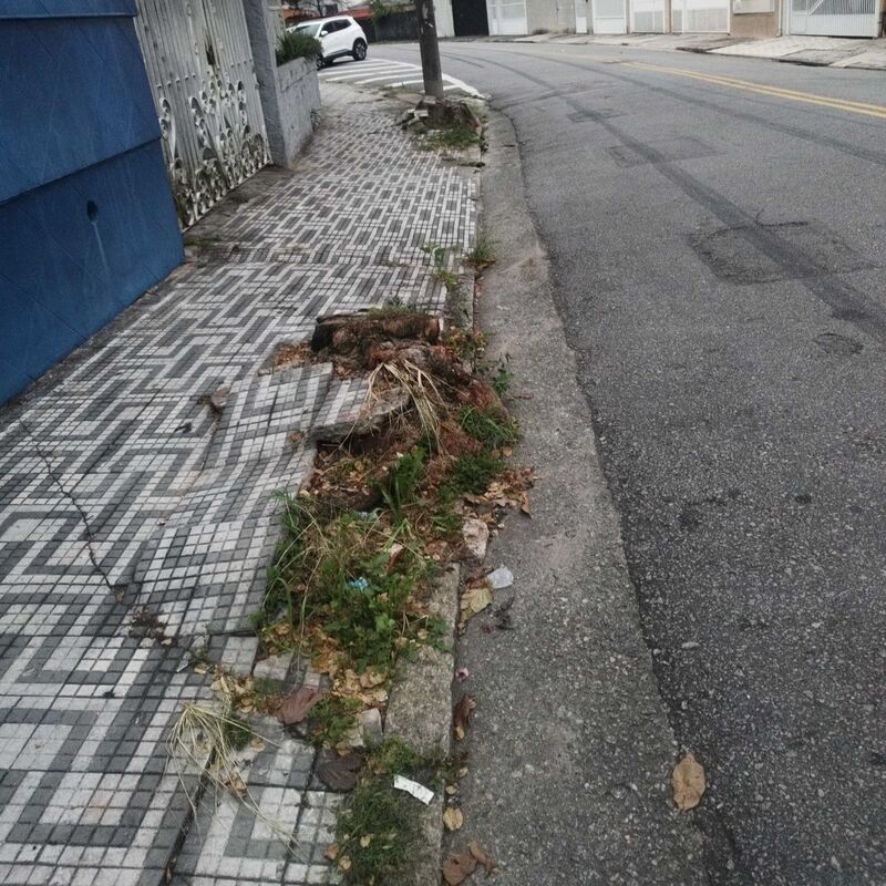 Imagem da publicação