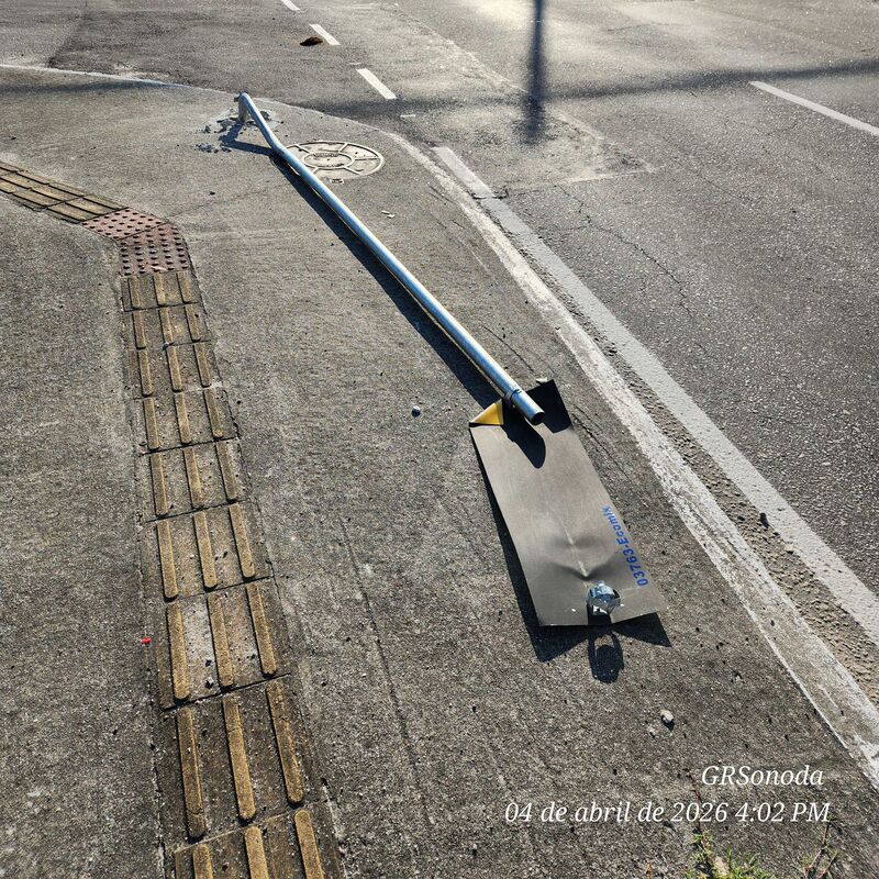 Imagem da publicação