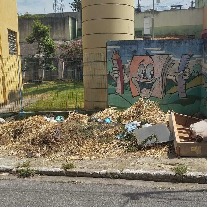 Imagem da publicação