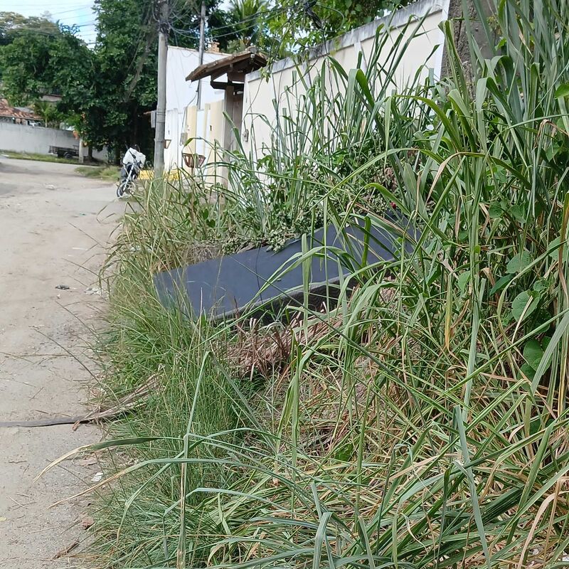 Imagem da publicação