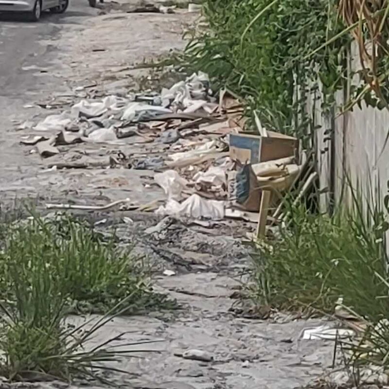 Imagem da publicação