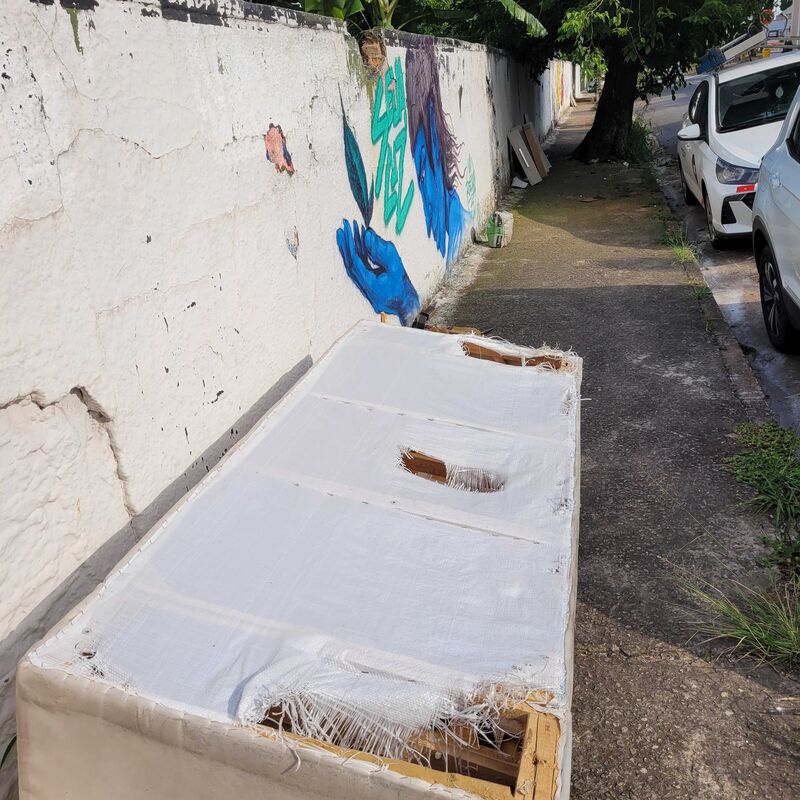 Imagem da publicação