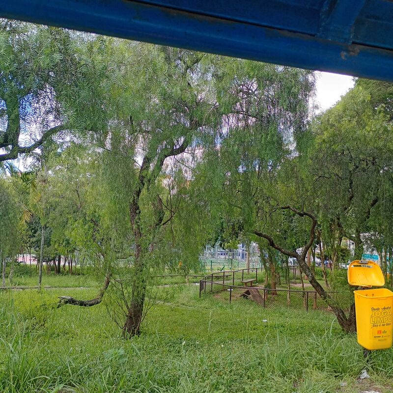 Imagem da publicação