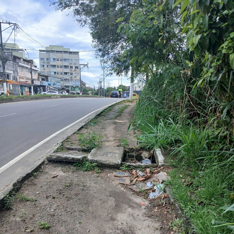 Imagem da publicação