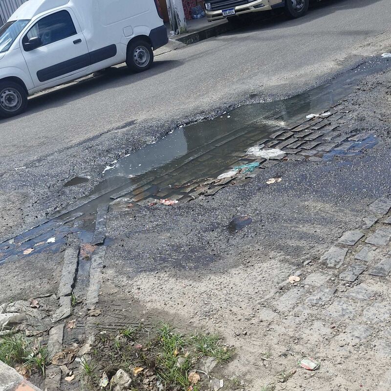 Imagem da publicação