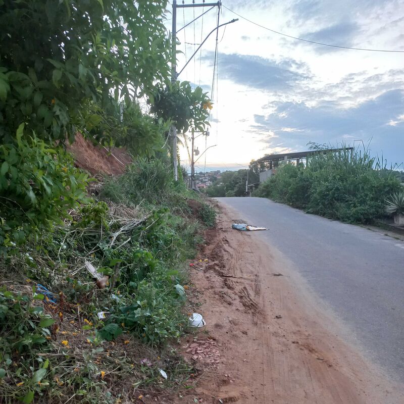 Imagem da publicação