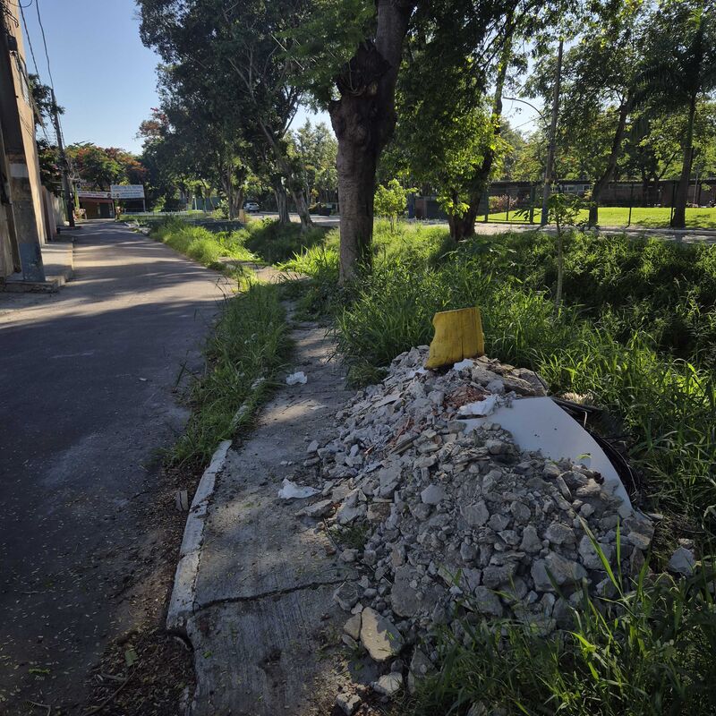 Imagem da publicação