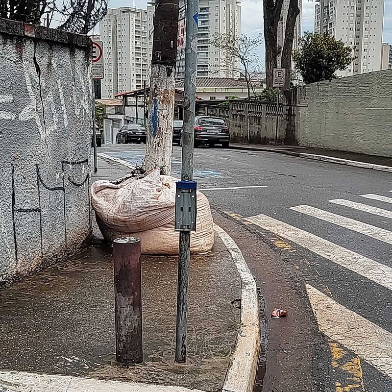 Imagem da publicação
