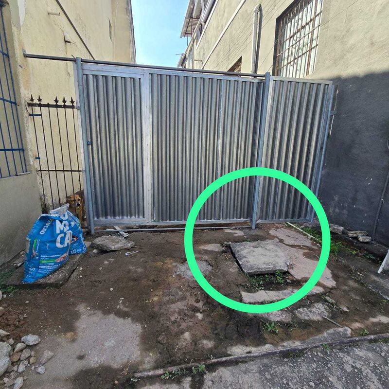 Imagem da publicação
