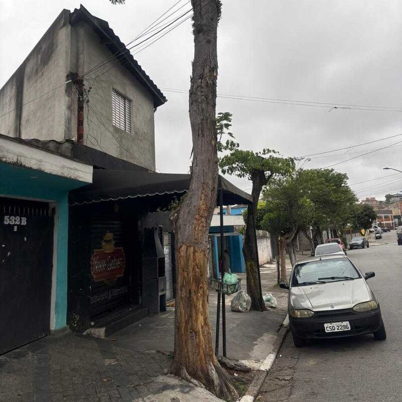 Imagem da publicação