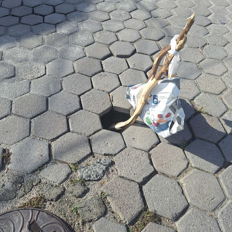 Imagem da publicação