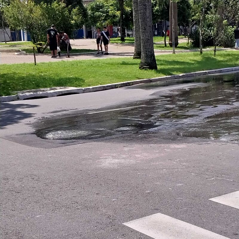 Imagem da publicação