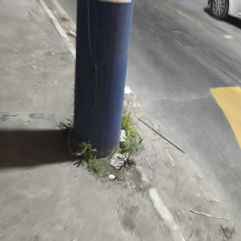 Imagem da publicação