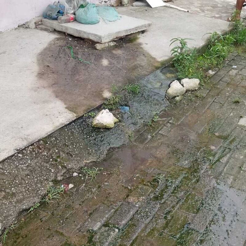 Imagem da publicação