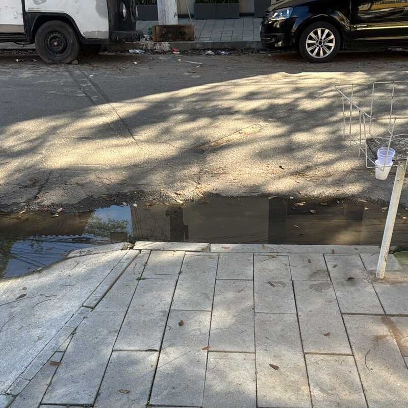 Imagem da publicação