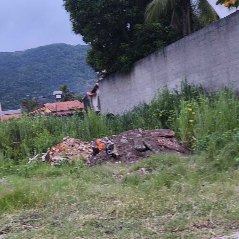 Imagem da publicação