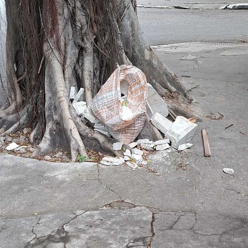 Imagem da publicação