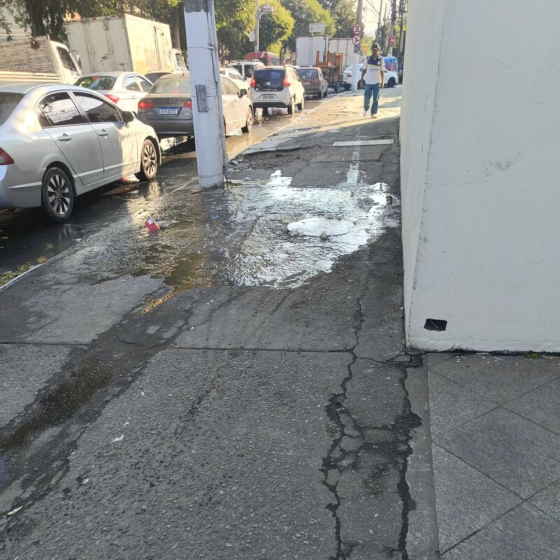 Imagem da publicação