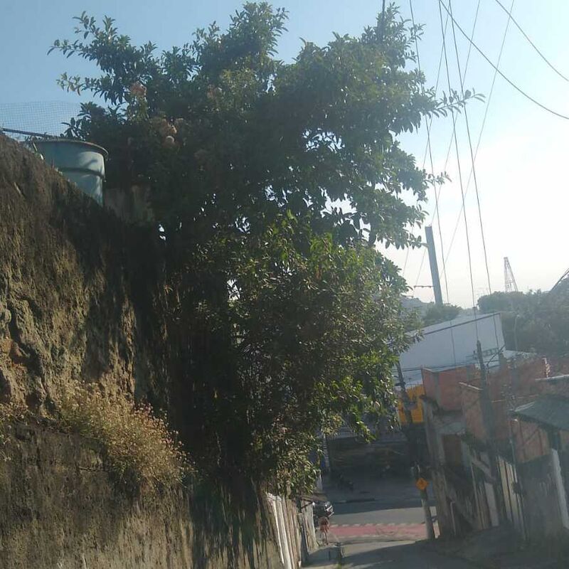 Imagem da publicação