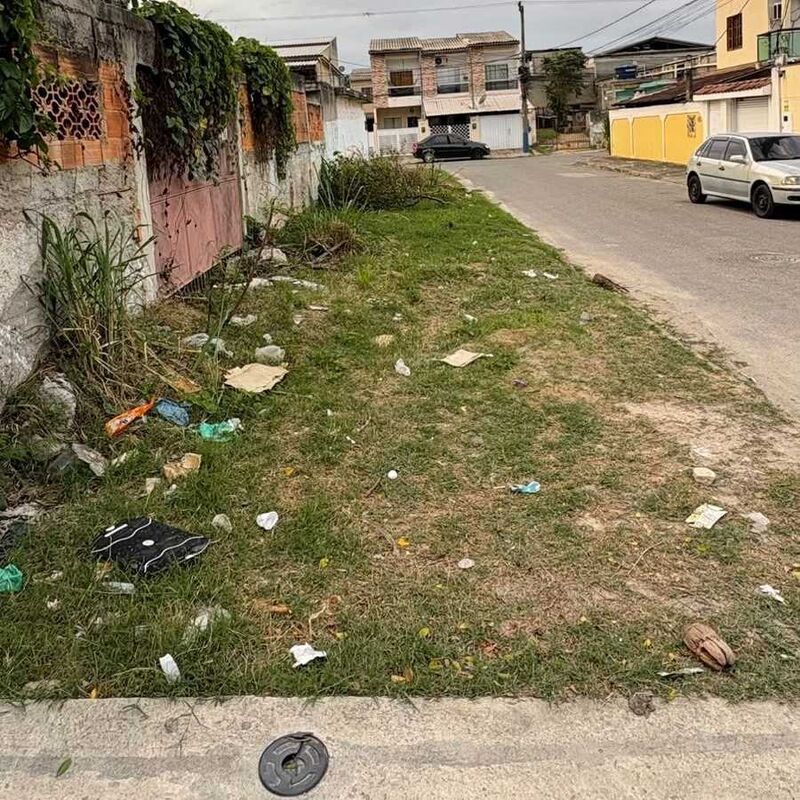 Imagem da publicação