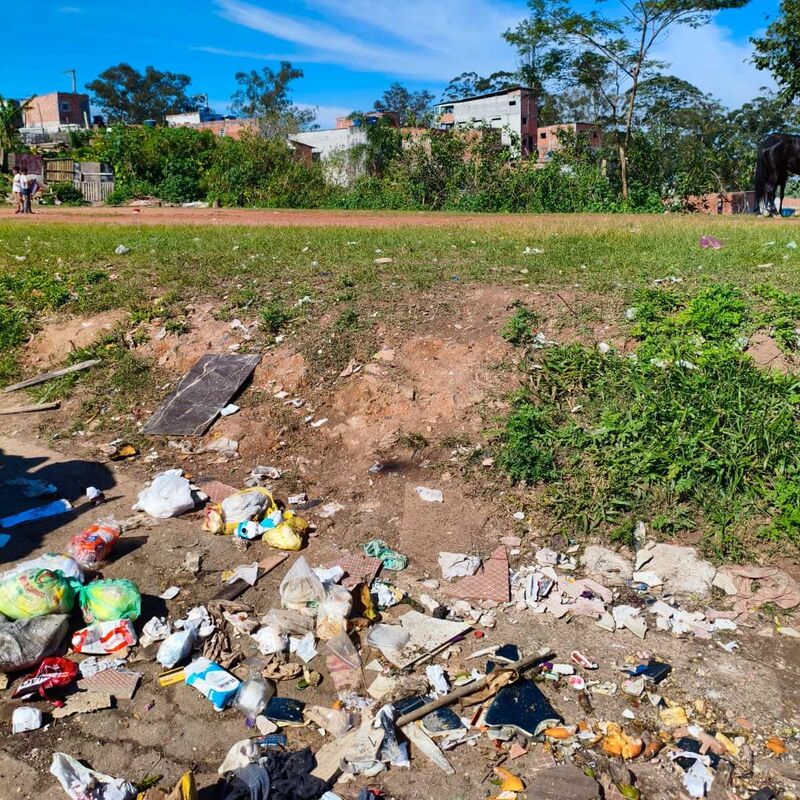 Imagem da publicação