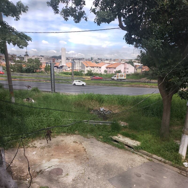 Imagem da publicação