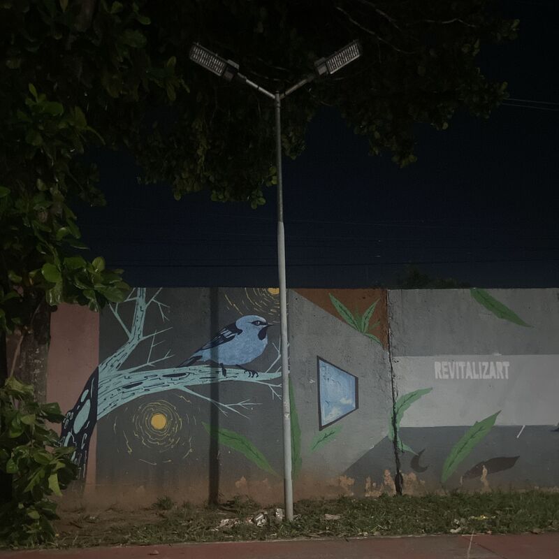 Imagem da publicação