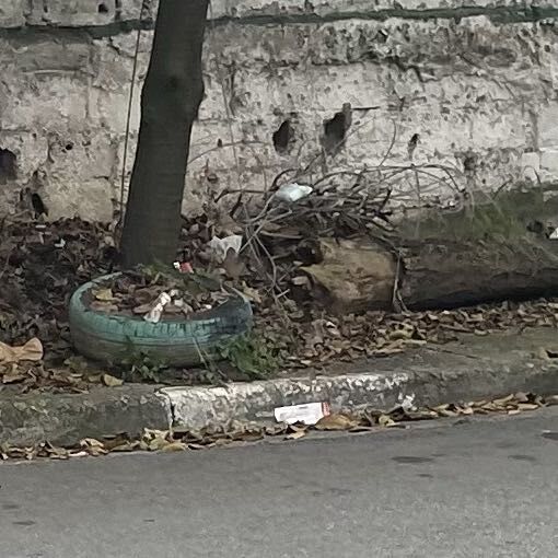 Imagem da publicação