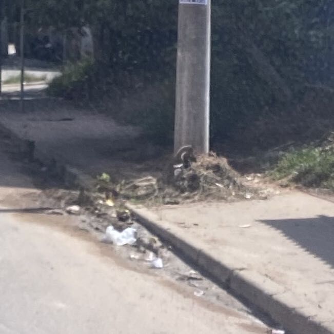 Imagem da publicação