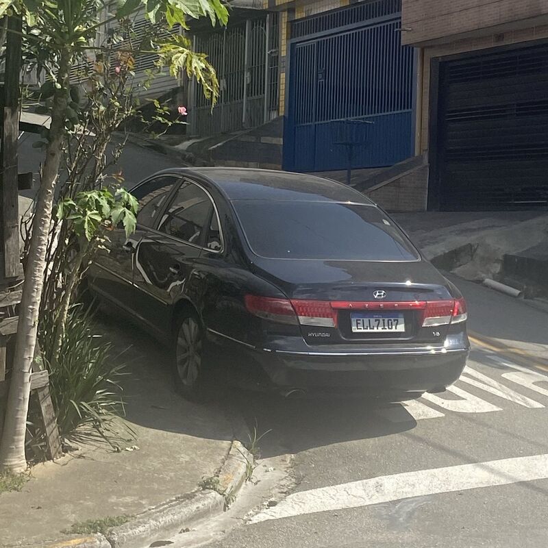 Imagem da publicação