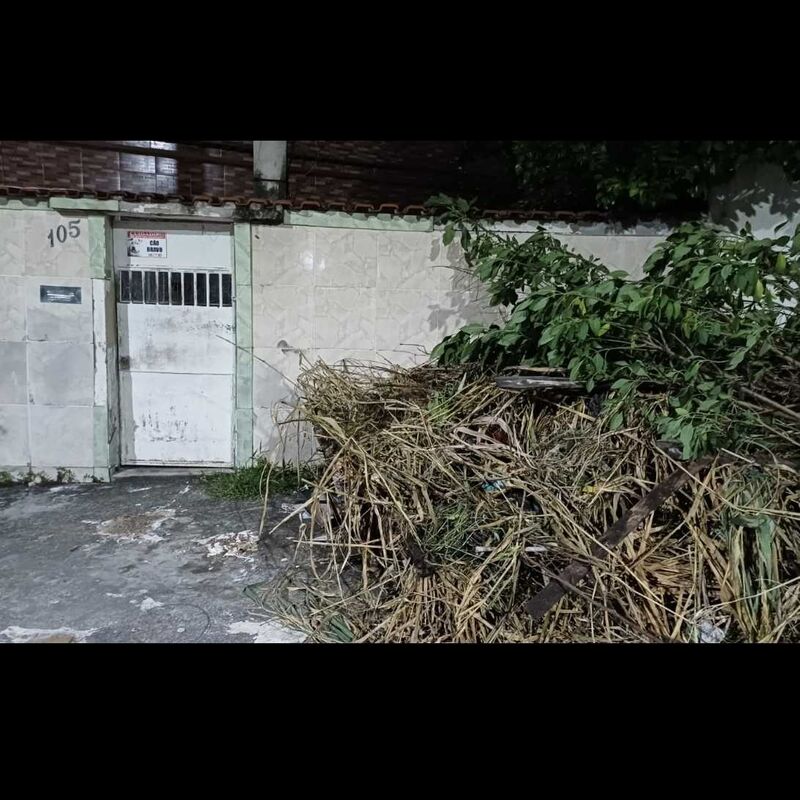 Imagem da publicação