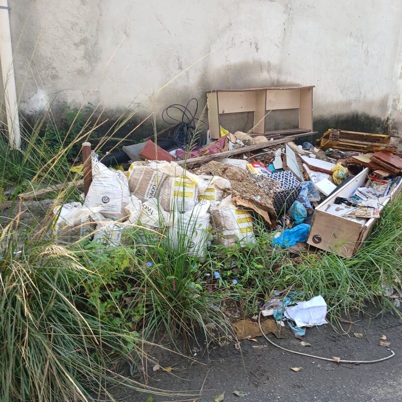 Imagem da publicação