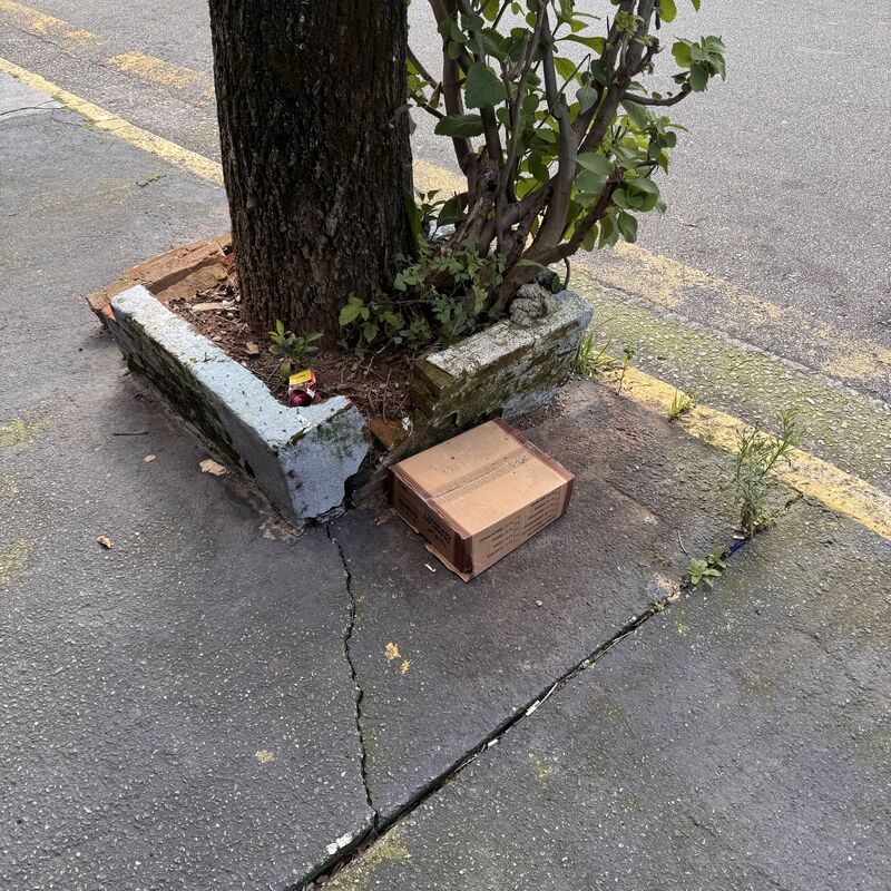 Imagem da publicação