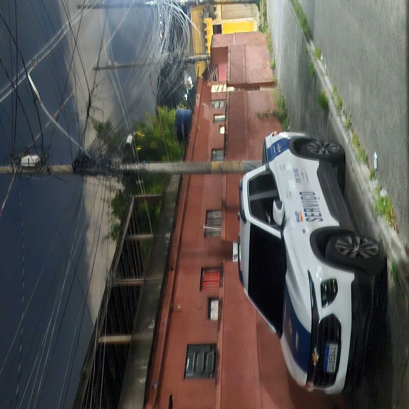 Imagem da publicação