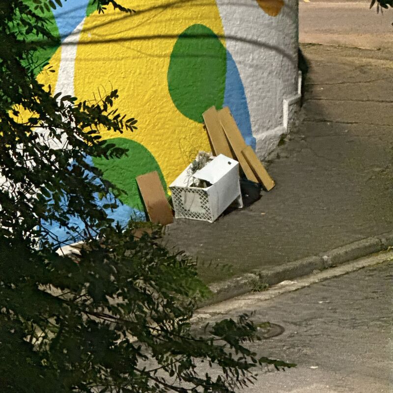 Imagem da publicação