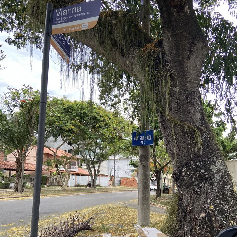 Imagem da publicação