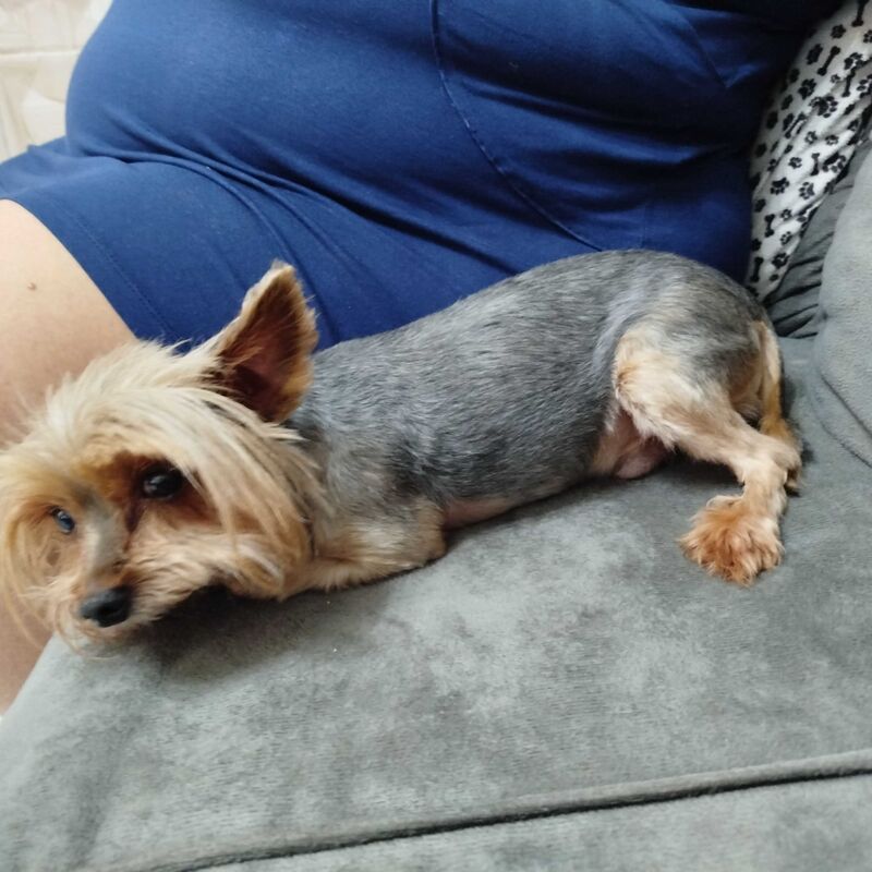 Imagem da publicação