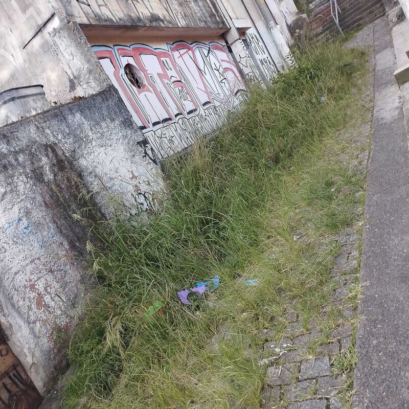 Imagem da publicação