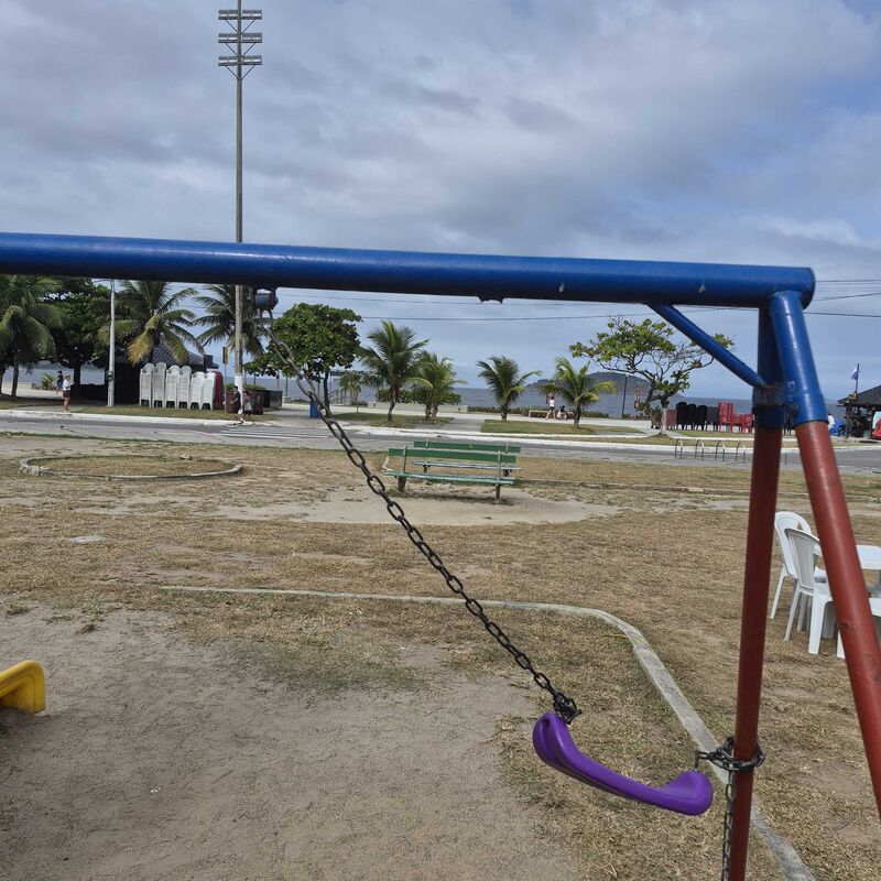 Imagem da publicação