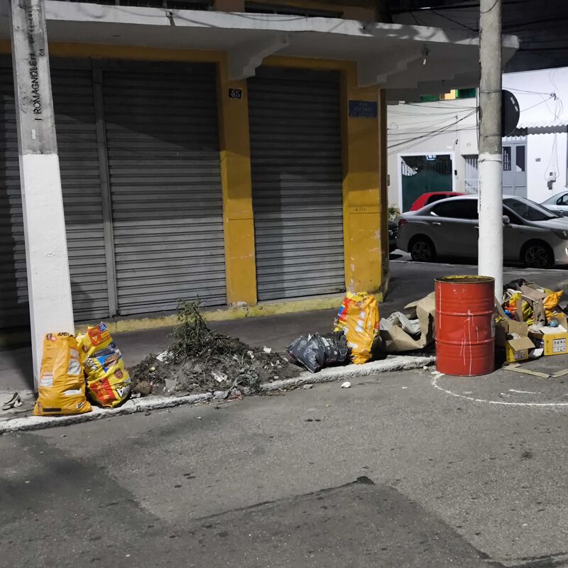 Imagem da publicação